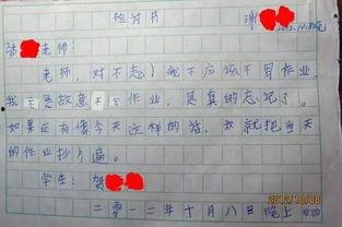 娱乐吃瓜酱检讨书,反思与成长之路